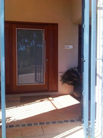 cedar timber pivot lexus